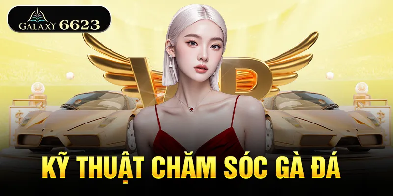 ky-thuat-cham-soc-ga-da